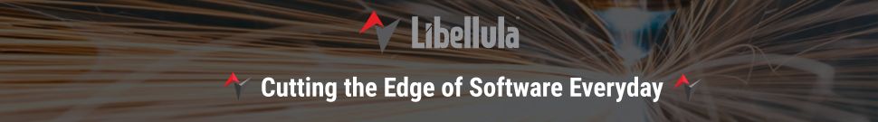 Libellula Srl